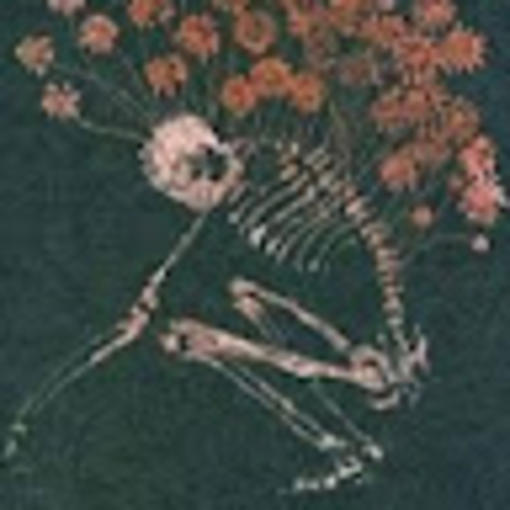 Meet your Posher, Amara